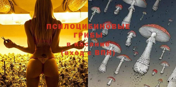 ECSTASY Арсеньев