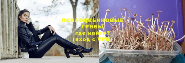 ECSTASY Арсеньев