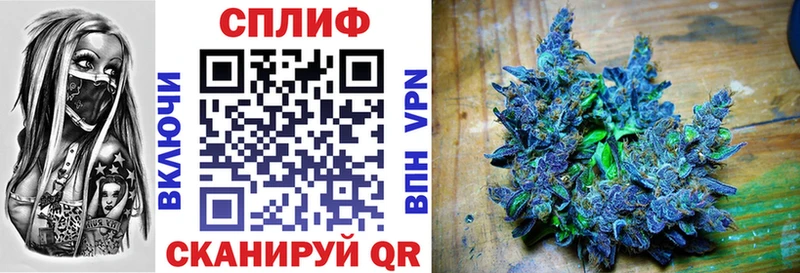 Конопля SATIVA & INDICA  Фрязино 